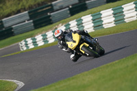 Middle Group Yellow Bikes